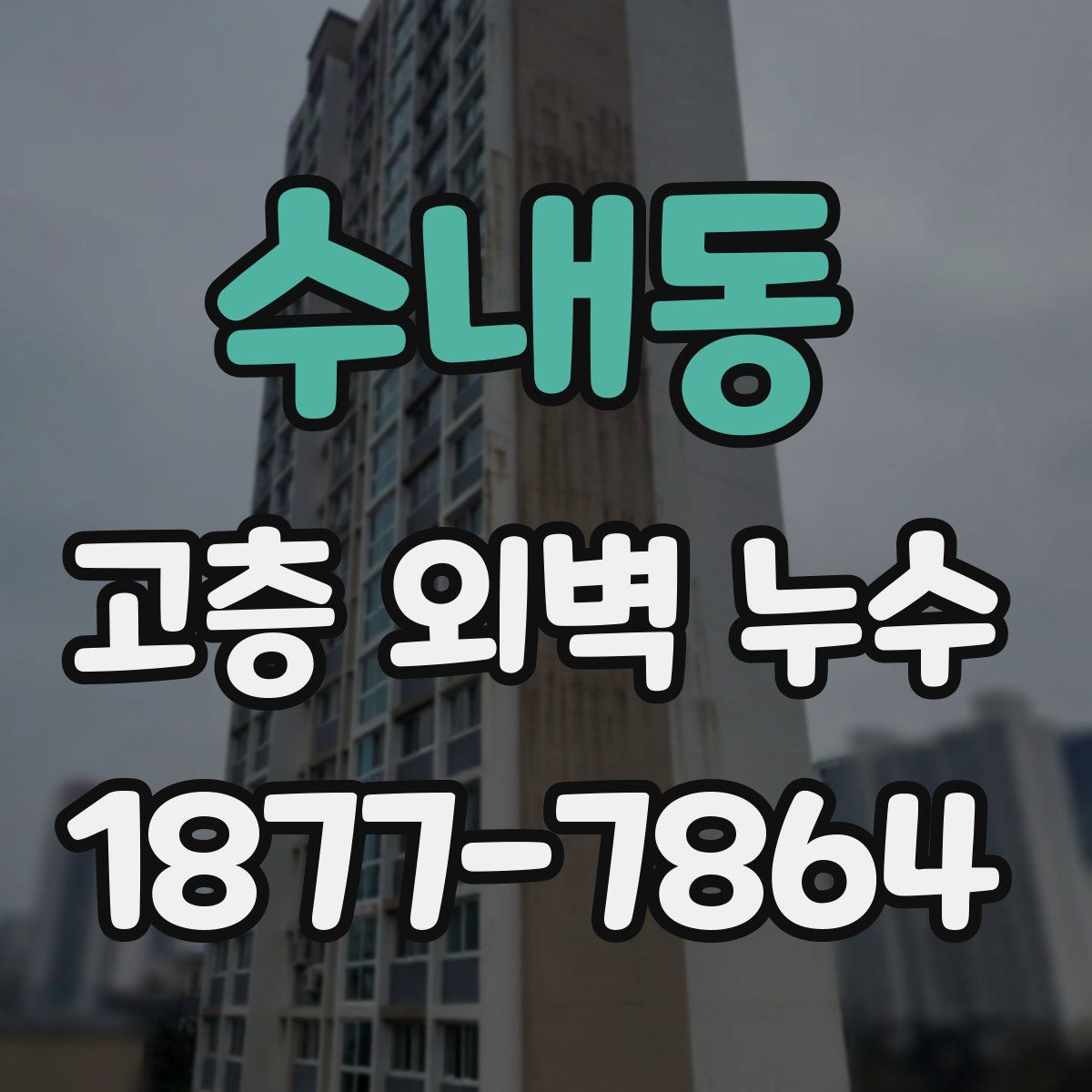 수내동 고층 외벽 누수