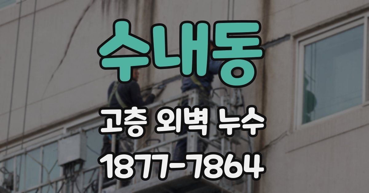수내동 고층 외벽 누수