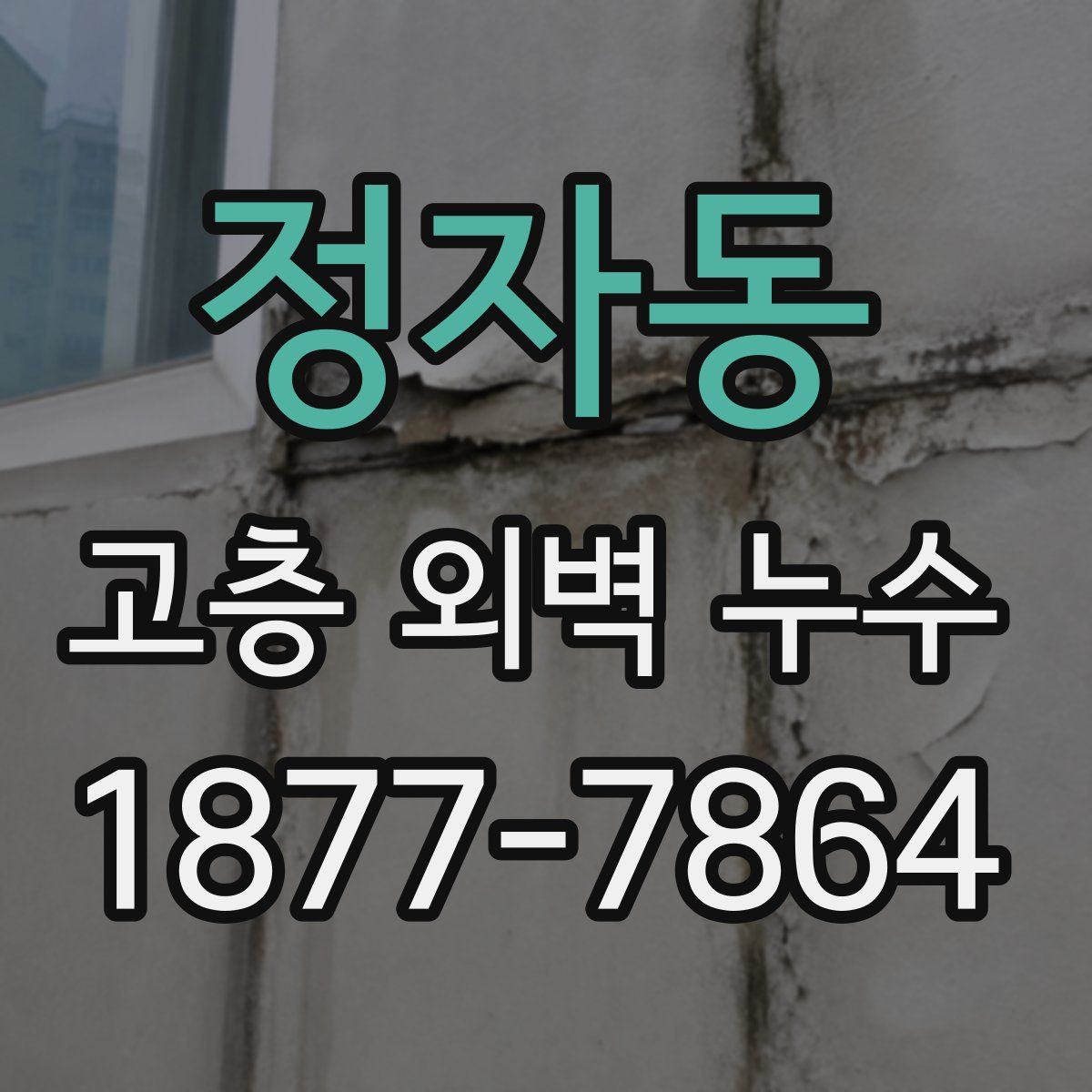 정자동 고층 외벽 누수