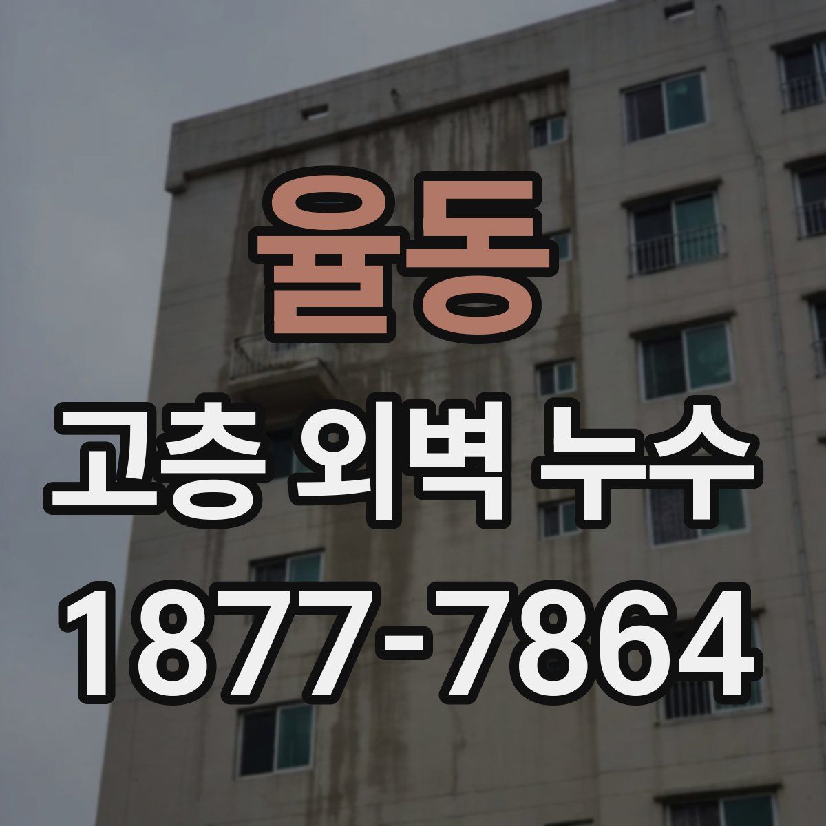 율동 고층 외벽 누수