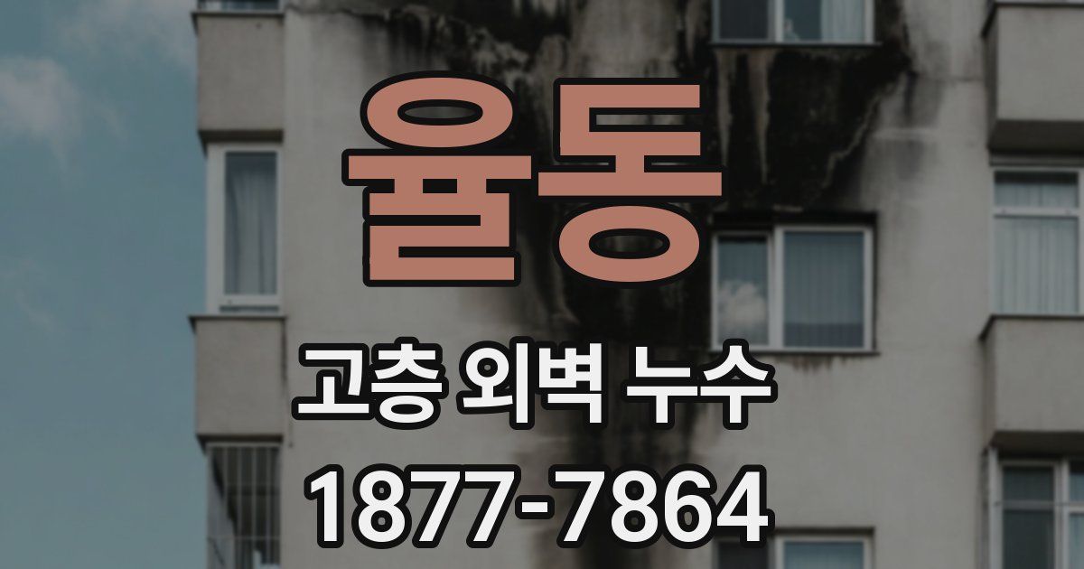 율동 고층 외벽 누수