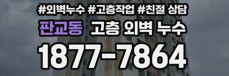 판교동 고층 외벽 누수