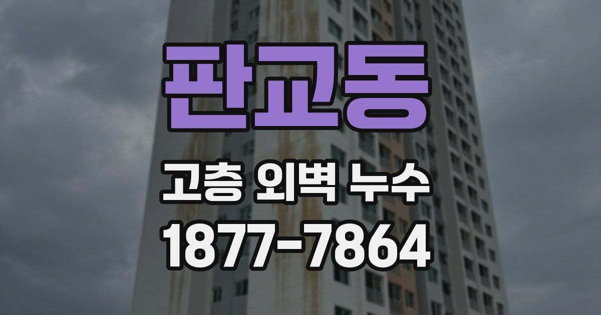 판교동 고층 외벽 누수