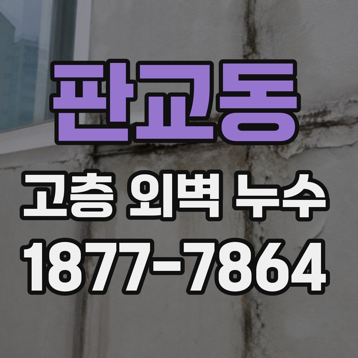 판교동 고층 외벽 누수