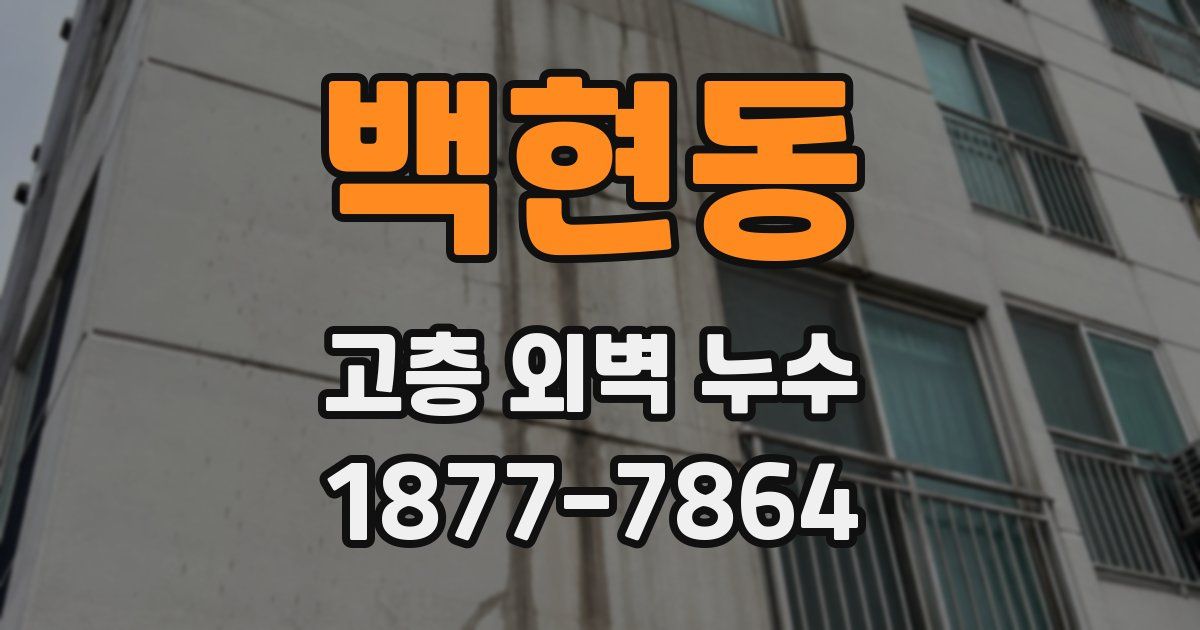 백현동 고층 외벽 누수