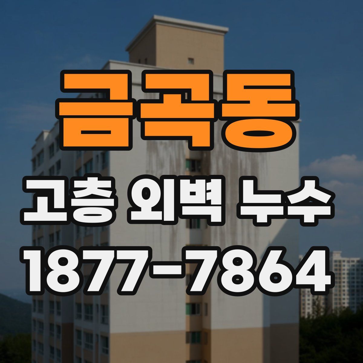 금곡동 고층 외벽 누수