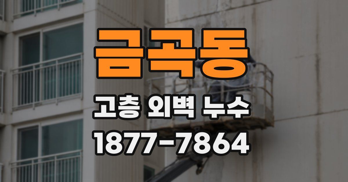 금곡동 고층 외벽 누수