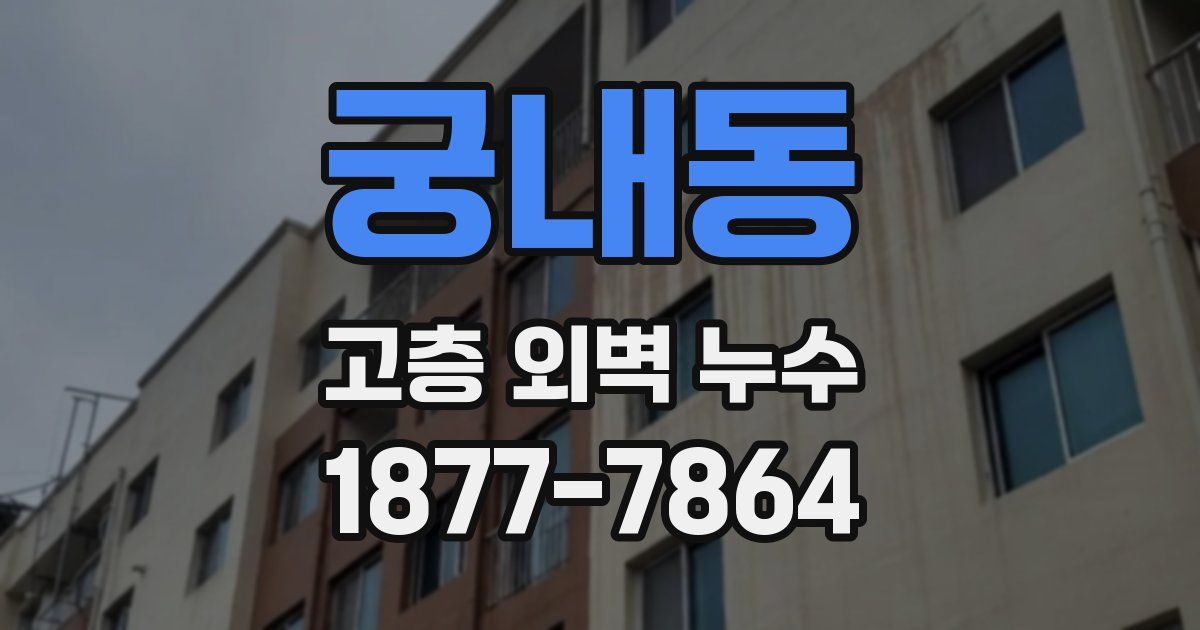 궁내동 고층 외벽 누수