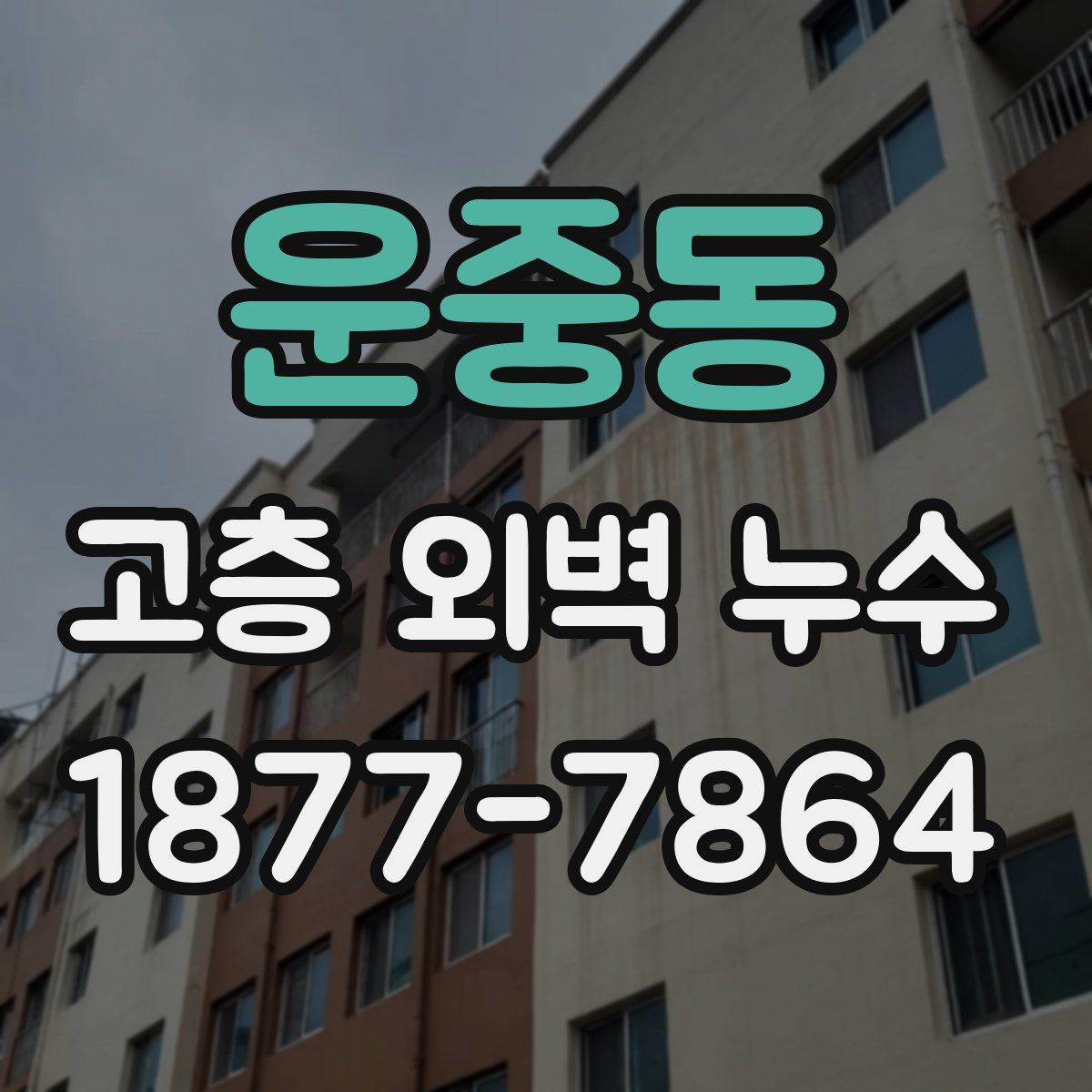 운중동 고층 외벽 누수