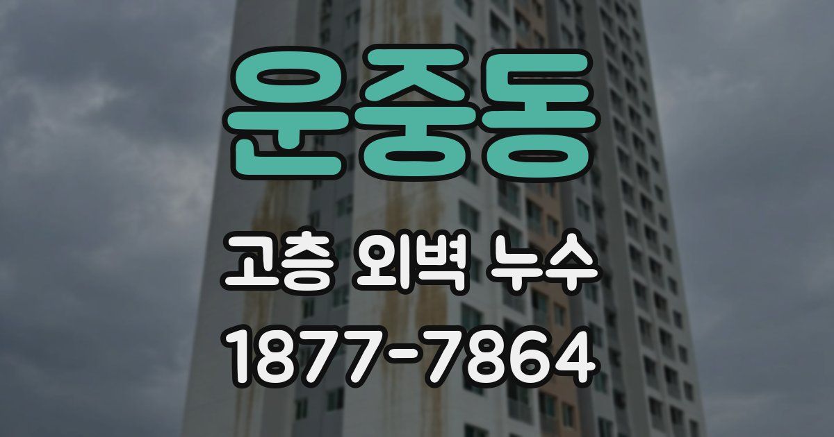 운중동 고층 외벽 누수