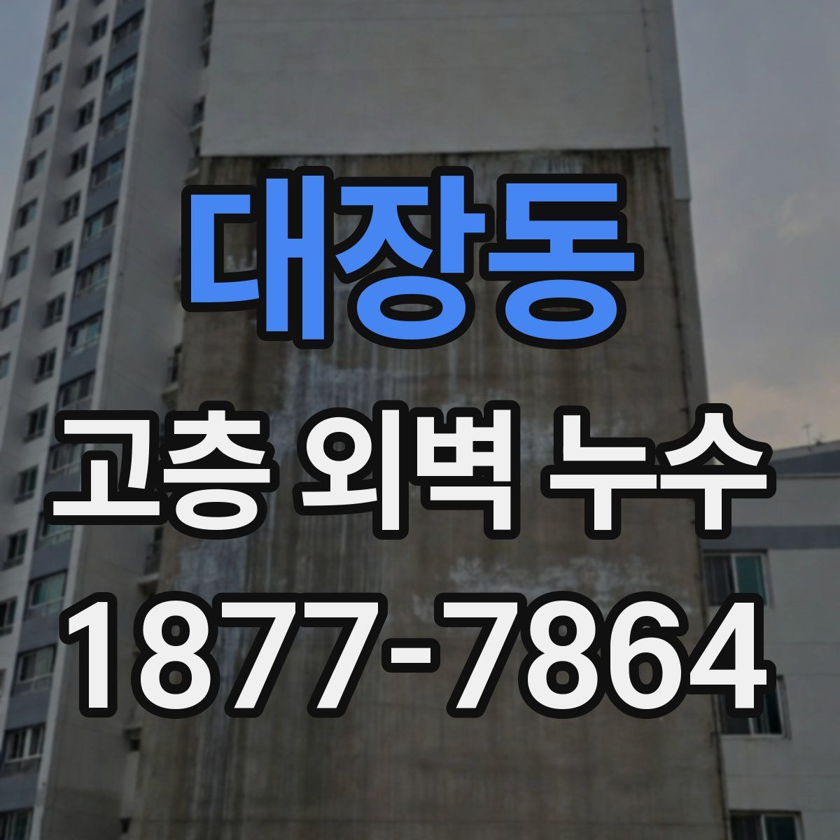 대장동 고층 외벽 누수