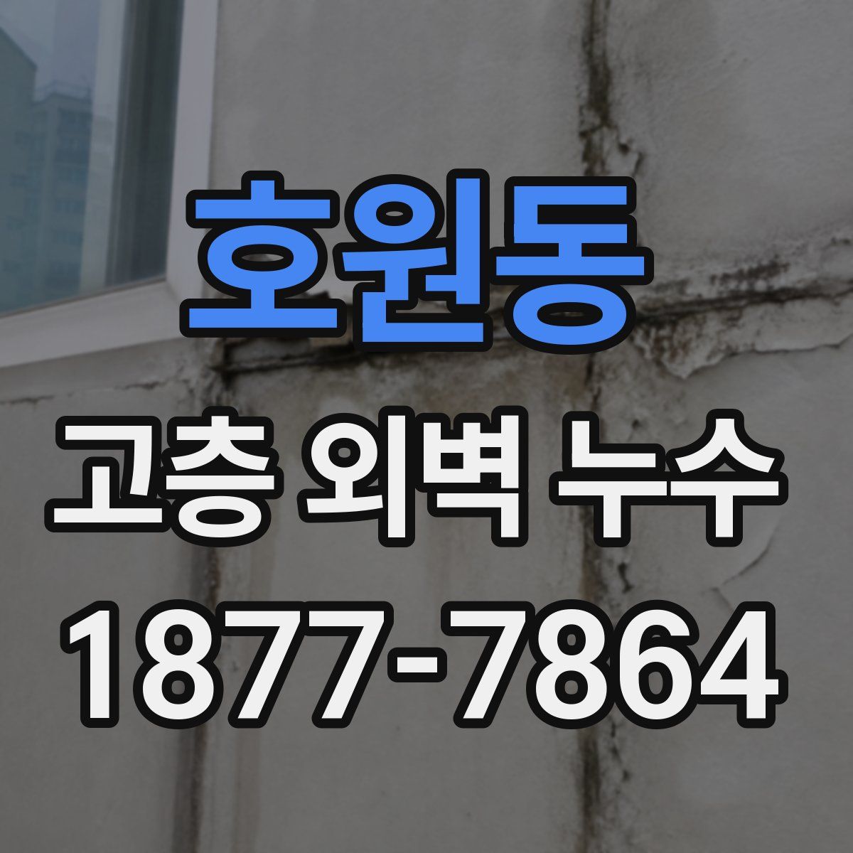 호원동 고층 외벽 누수