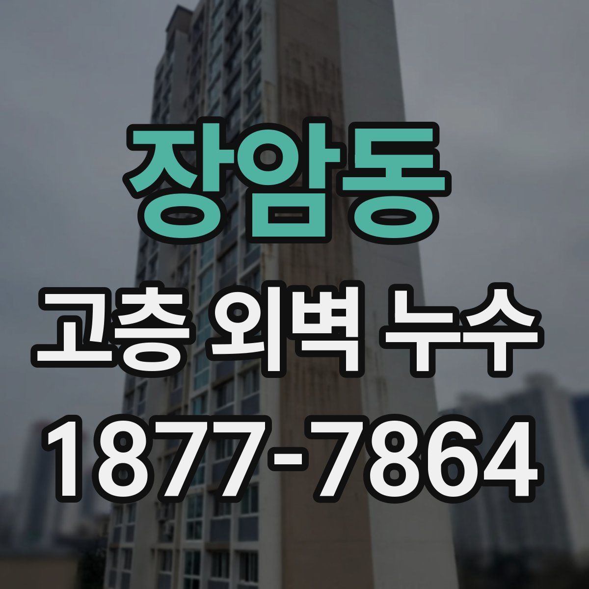 장암동 고층 외벽 누수