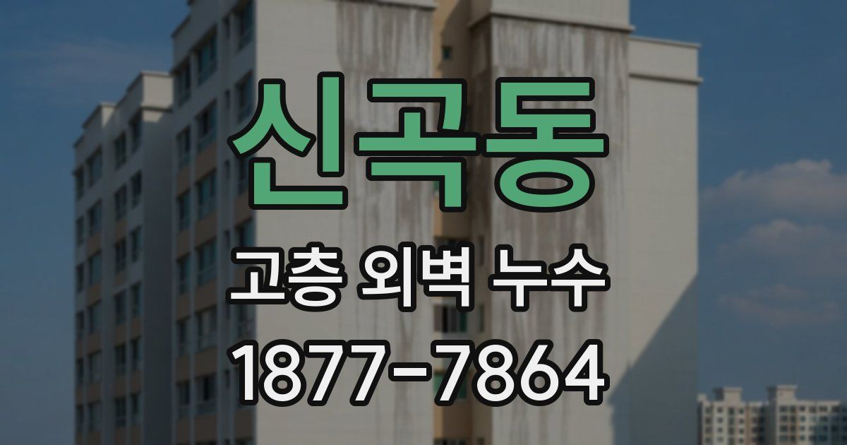 신곡동 고층 외벽 누수