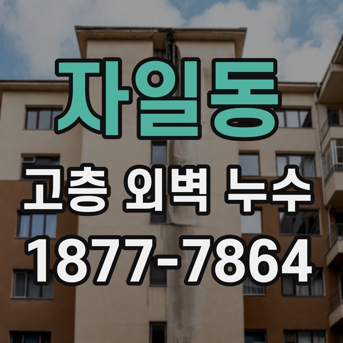 자일동 고층 외벽 누수