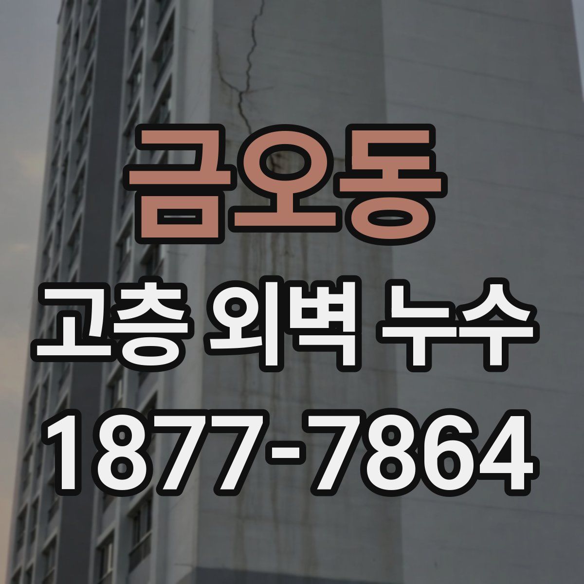 금오동 고층 외벽 누수