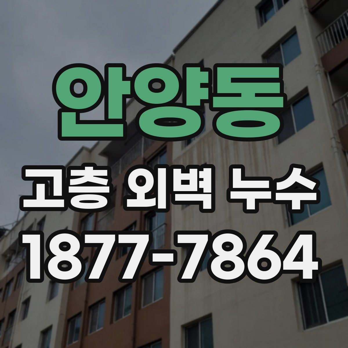 안양동 고층 외벽 누수