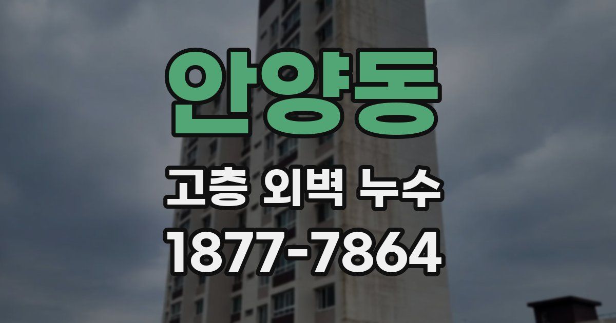 안양동 고층 외벽 누수