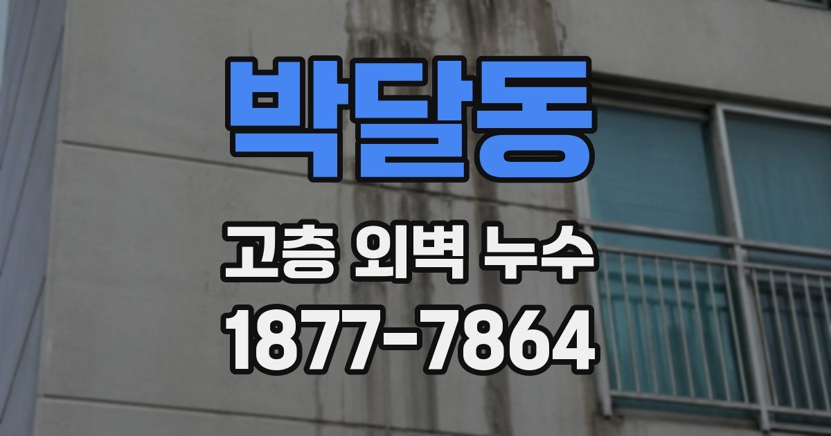 박달동 고층 외벽 누수