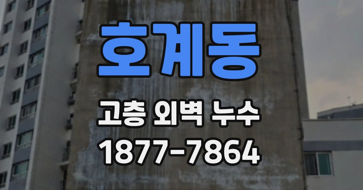 호계동 고층 외벽 누수