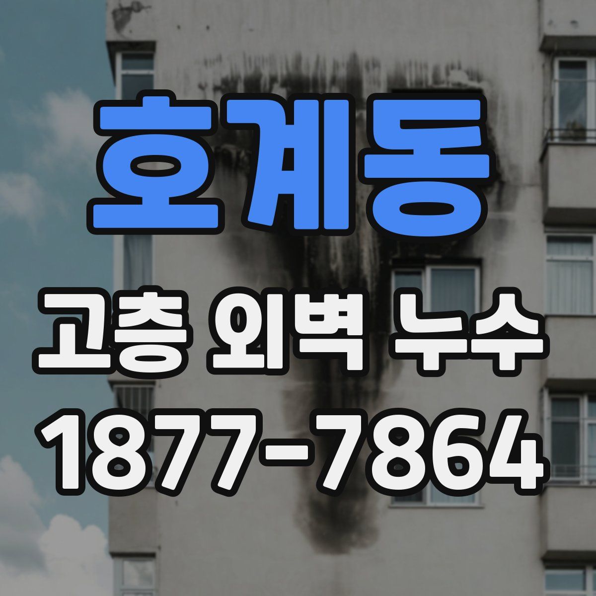 호계동 고층 외벽 누수