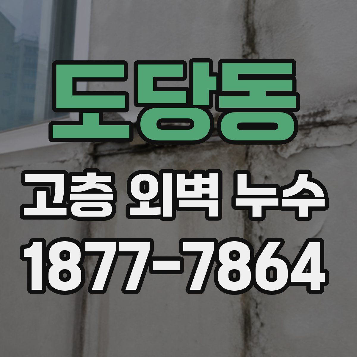 도당동 고층 외벽 누수