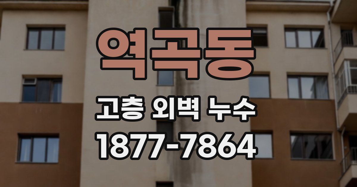 역곡동 고층 외벽 누수