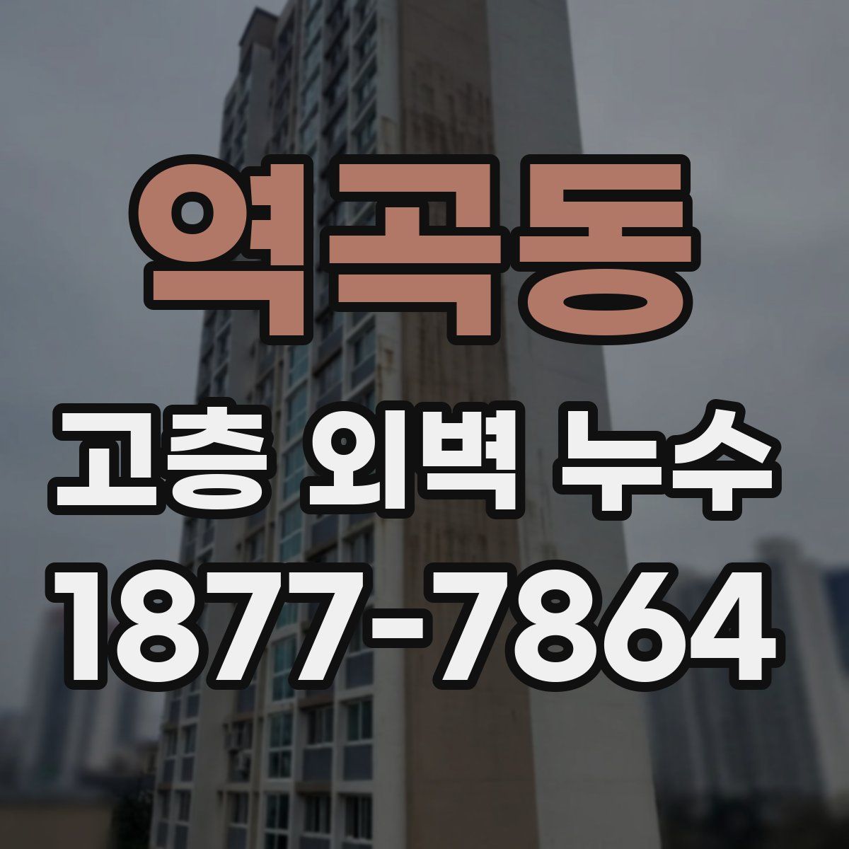 역곡동 고층 외벽 누수