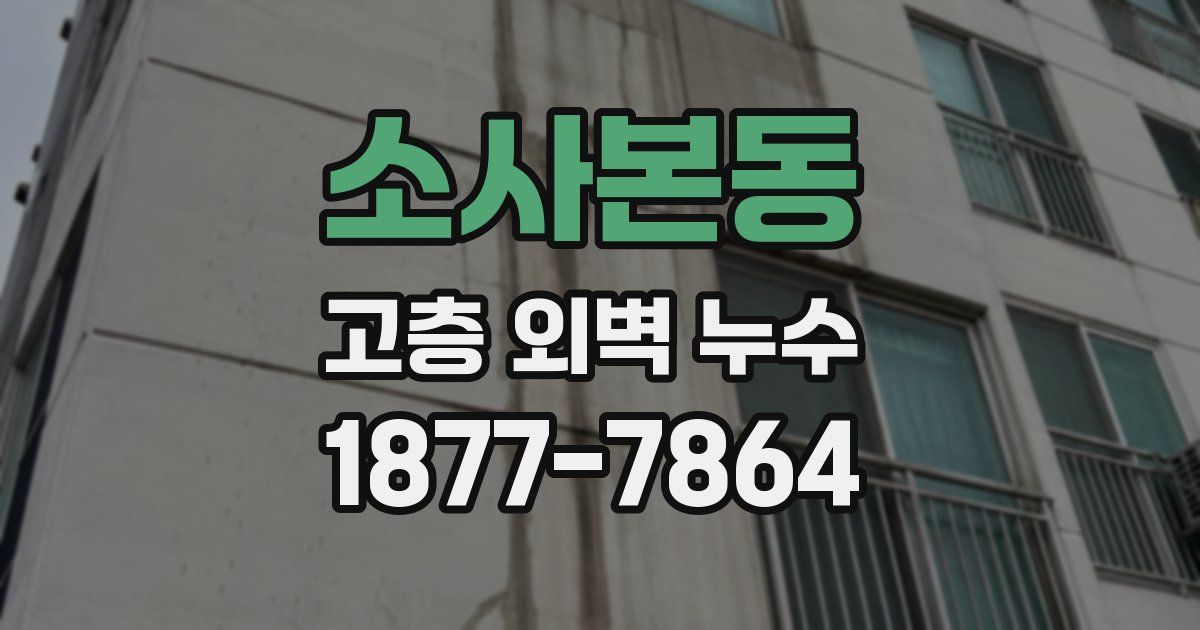 소사본동 고층 외벽 누수