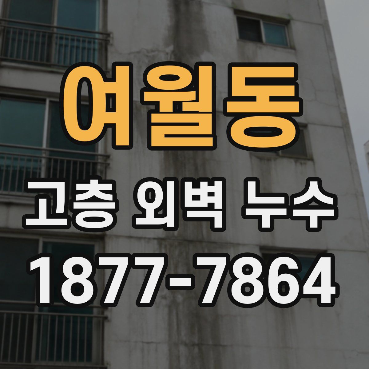 여월동 고층 외벽 누수