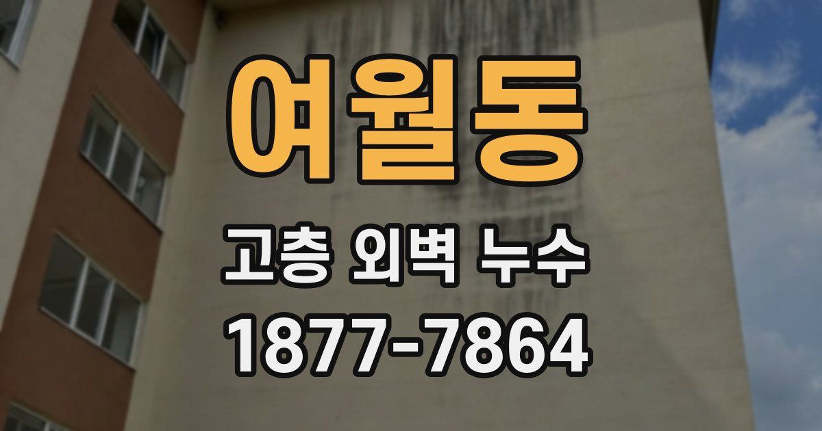 여월동 고층 외벽 누수
