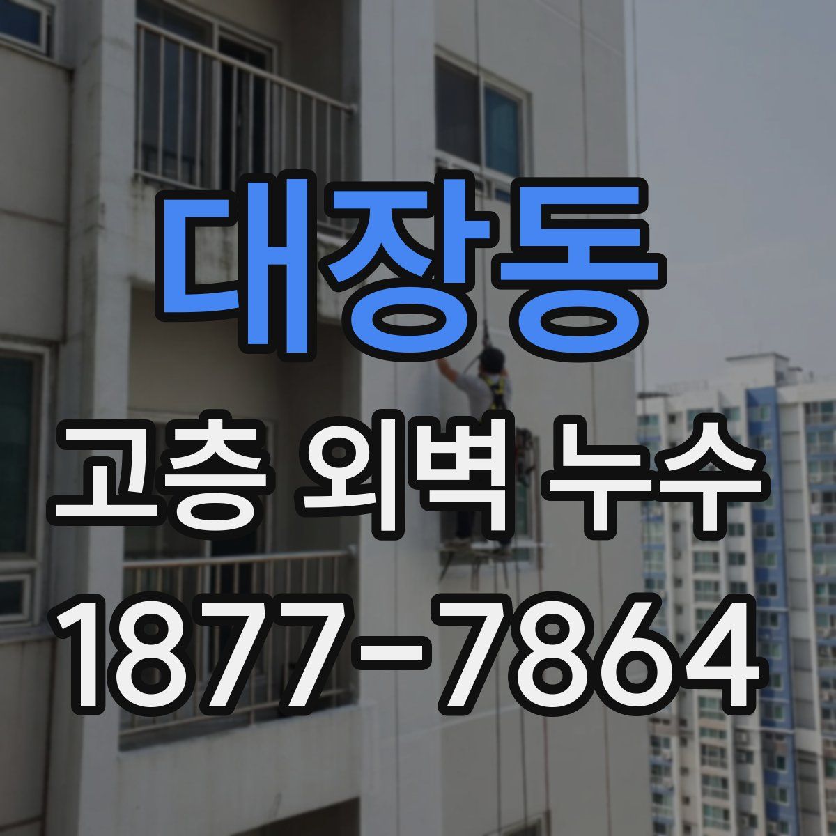 대장동 고층 외벽 누수