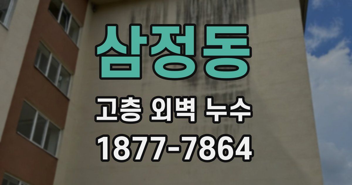 삼정동 고층 외벽 누수