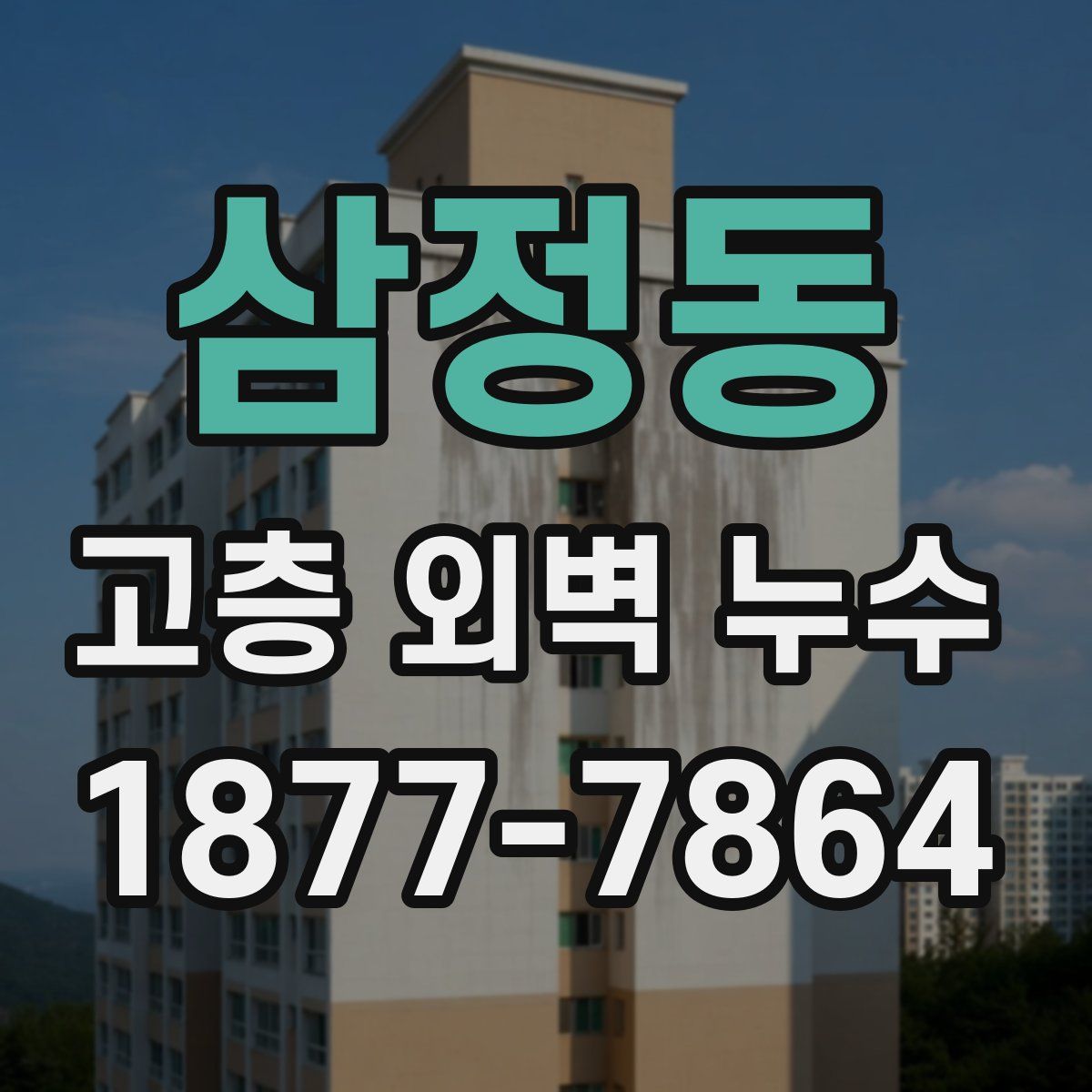 삼정동 고층 외벽 누수
