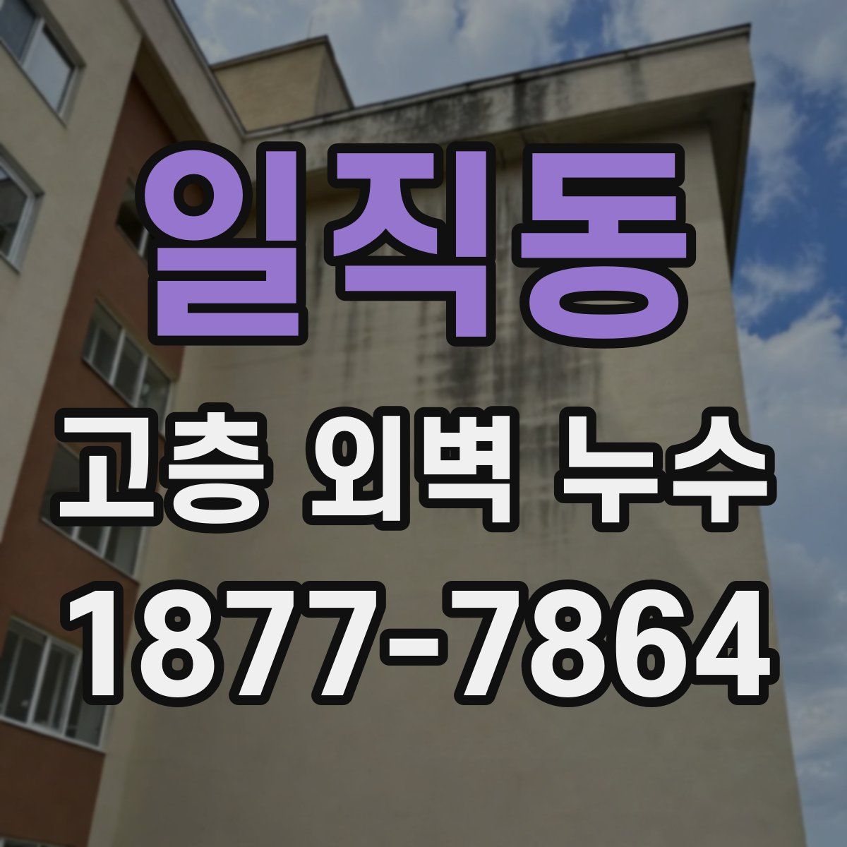 일직동 고층 외벽 누수