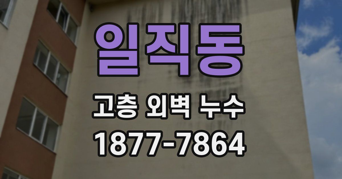 일직동 고층 외벽 누수