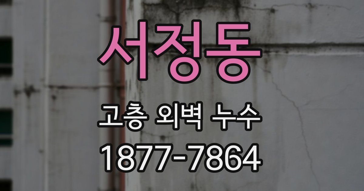 서정동 고층 외벽 누수
