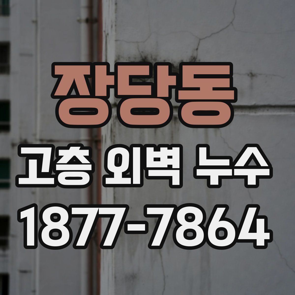 장당동 고층 외벽 누수