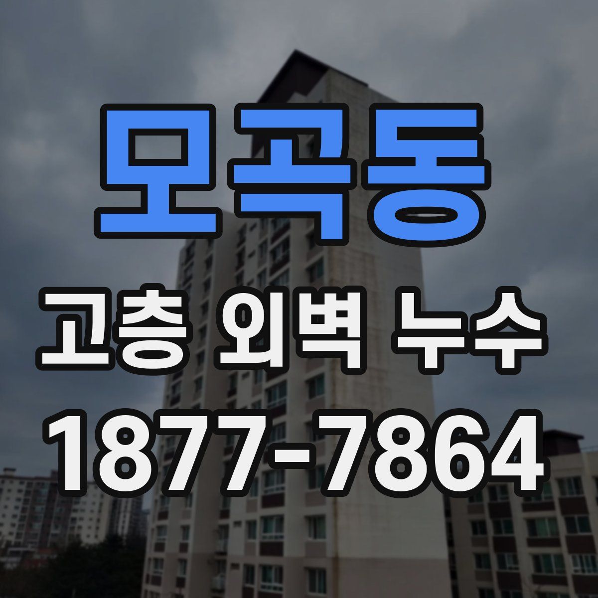 모곡동 고층 외벽 누수