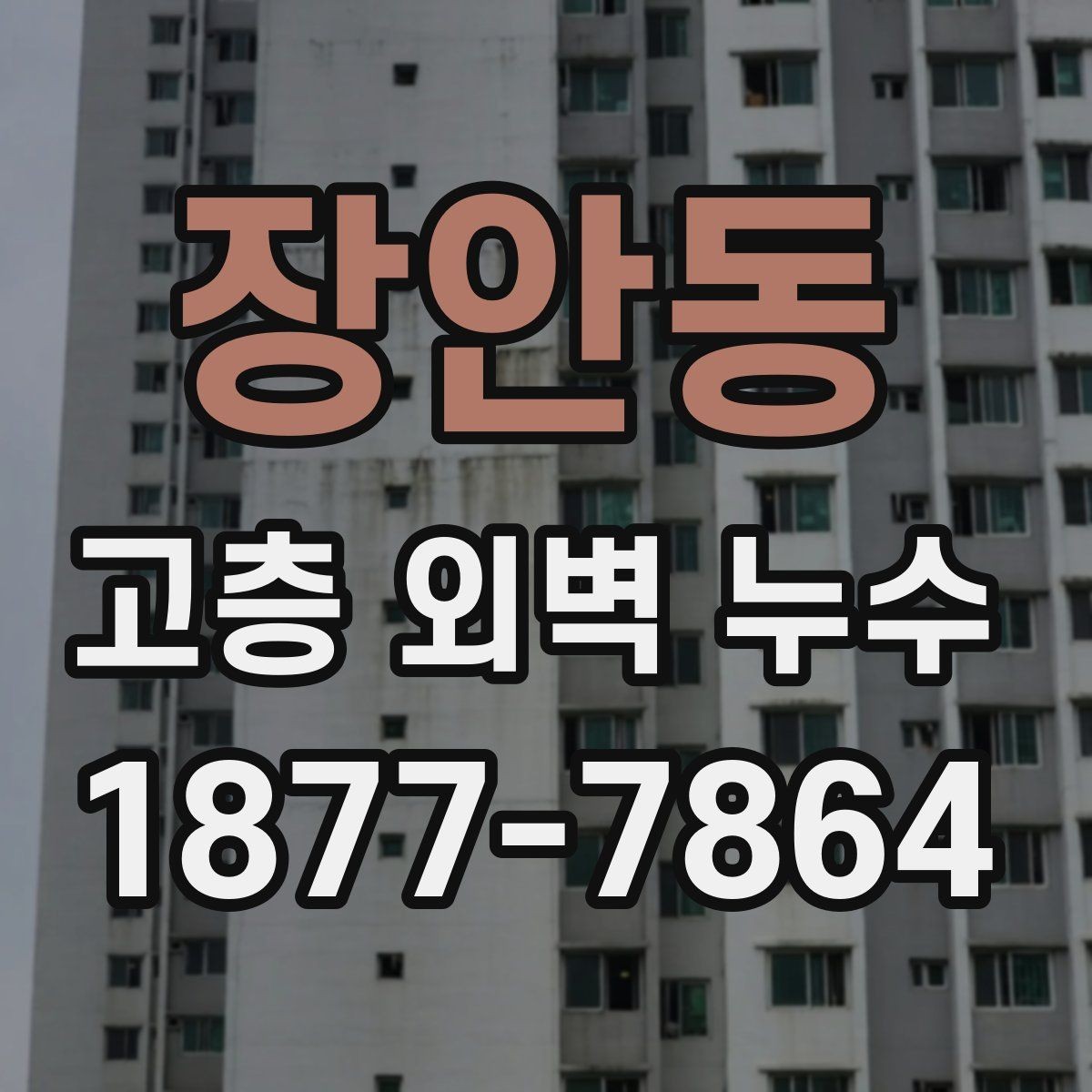 장안동 고층 외벽 누수 보수 방식별 특징 비교