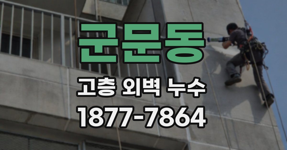 군문동 고층 외벽 누수