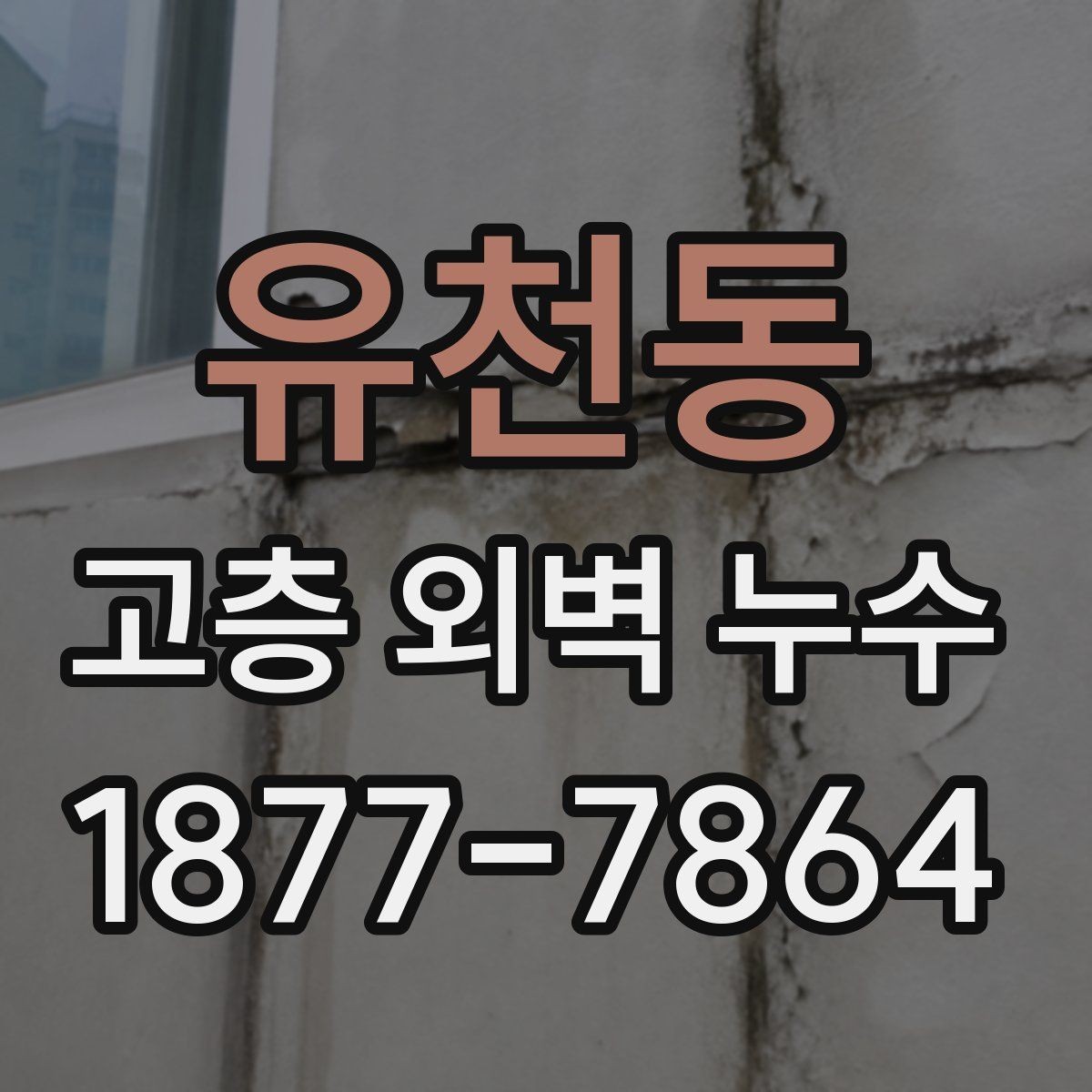 유천동 고층 외벽 누수 점검으로 확인하는 방수 상태