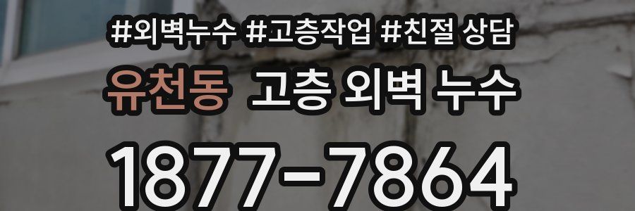 유천동 고층 외벽 누수