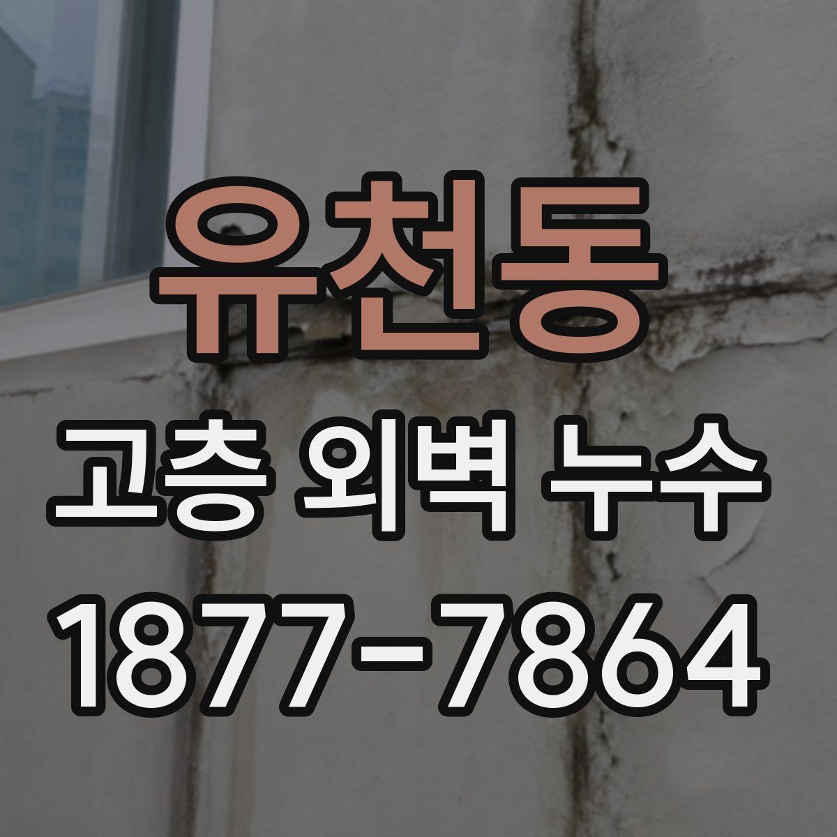 유천동 고층 외벽 누수