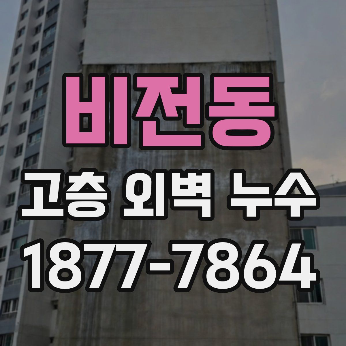 비전동 고층 외벽 누수