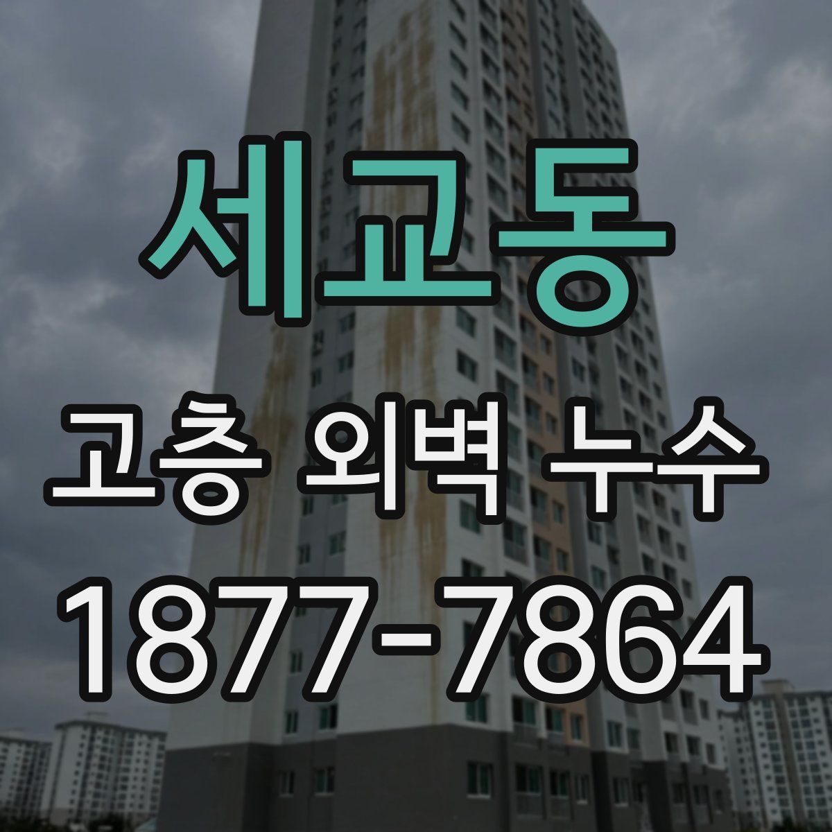 세교동 고층 외벽 누수