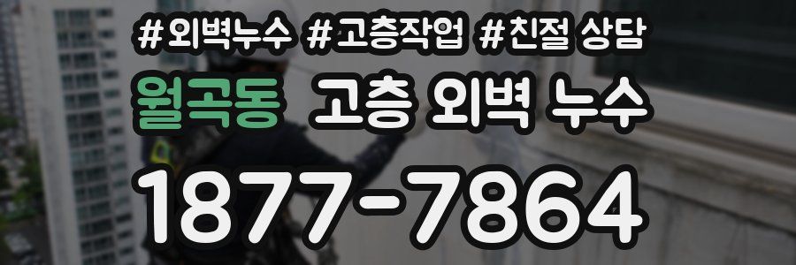 월곡동 고층 외벽 누수