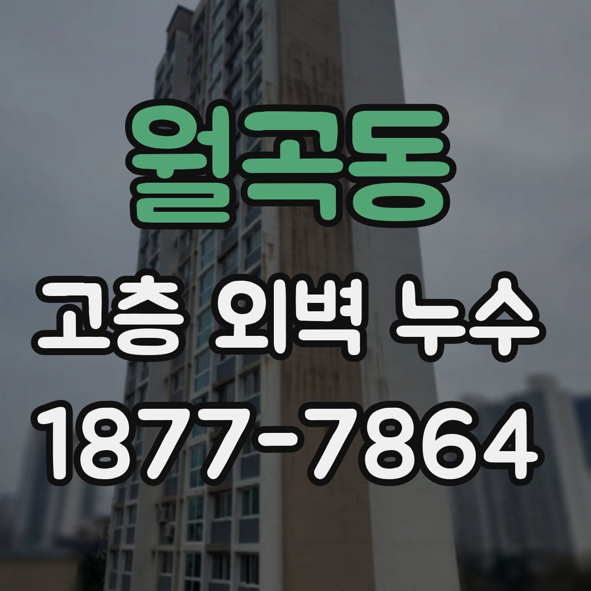 월곡동 고층 외벽 누수