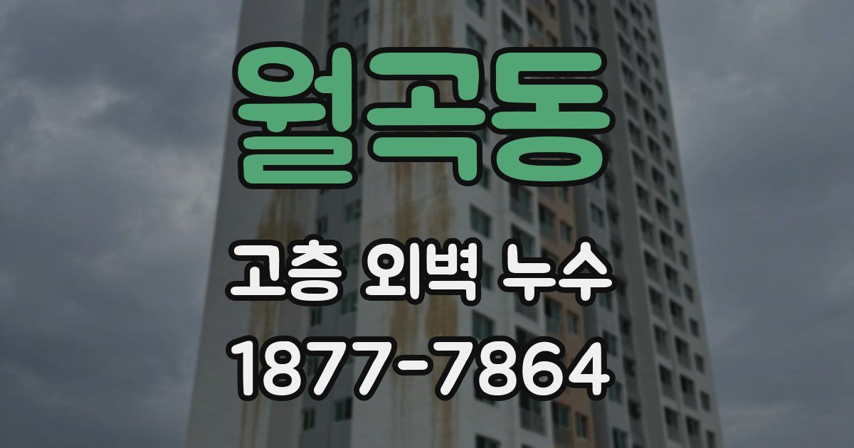 월곡동 고층 외벽 누수