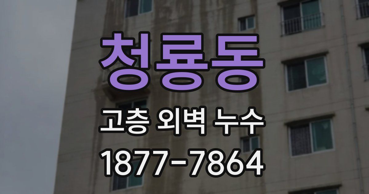 청룡동 고층 외벽 누수